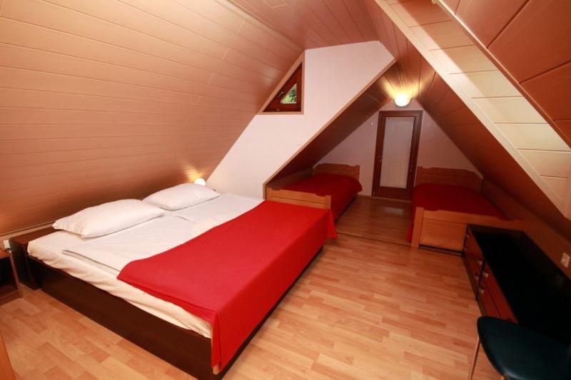Apartma Pri Bizjaku Bohinj Ngoại thất bức ảnh